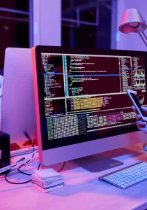 website development